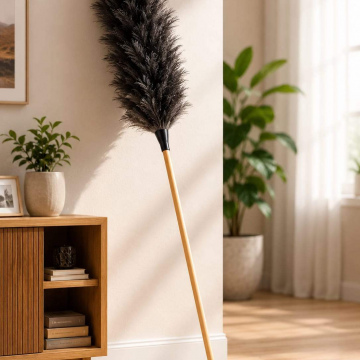 Long feather duster